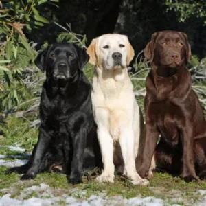Dummy nr met hierin in de Kolommen - D Kolom