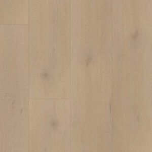 Belakos Palazzo 770 | Rigid Click