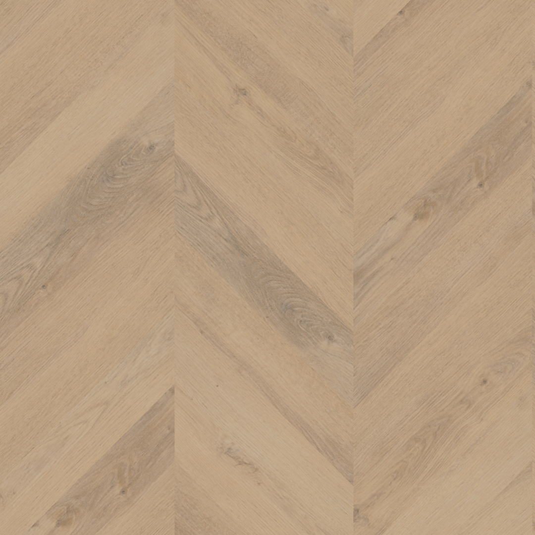 Belakos Palazzo chevron 72