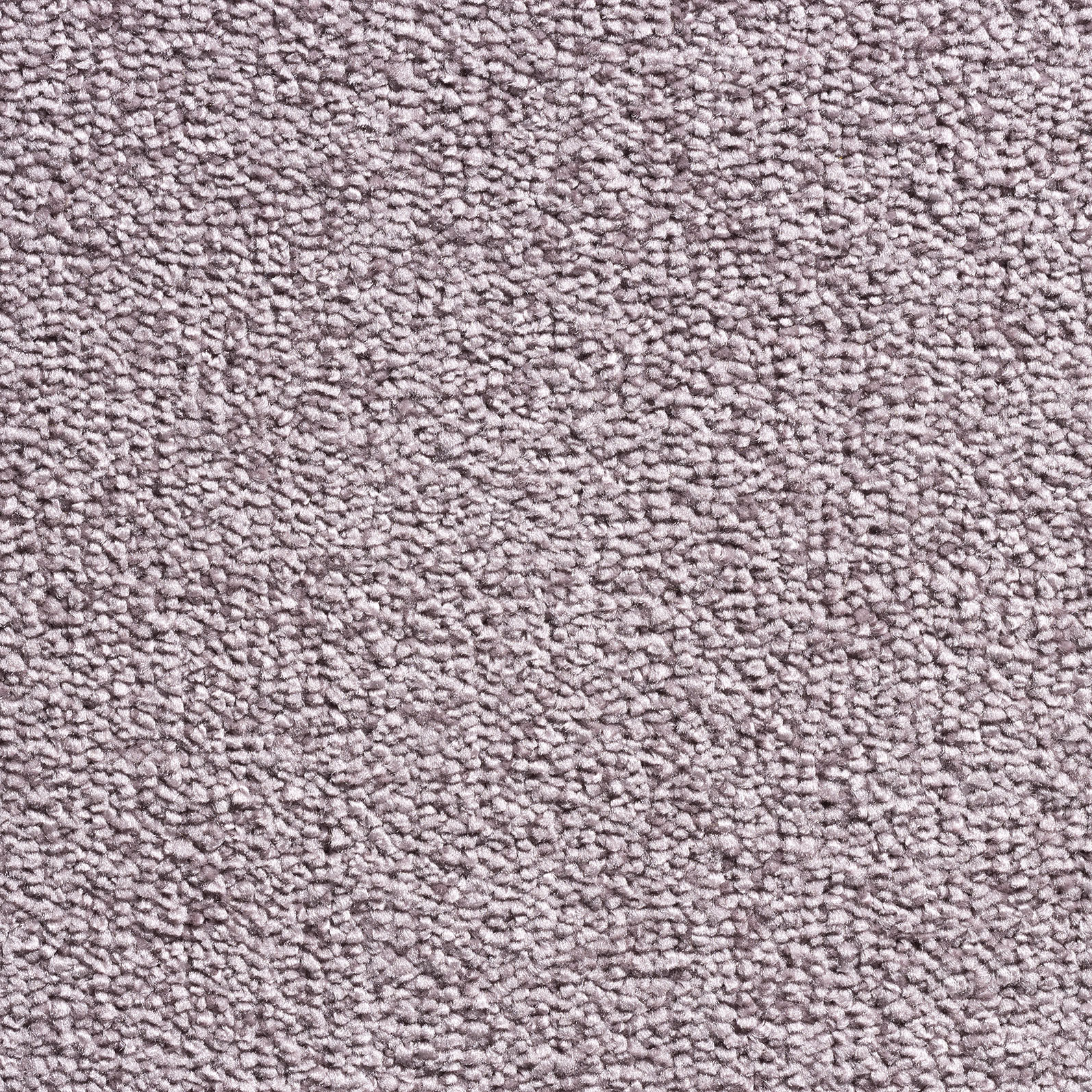 Afbeelding van Hoog polig