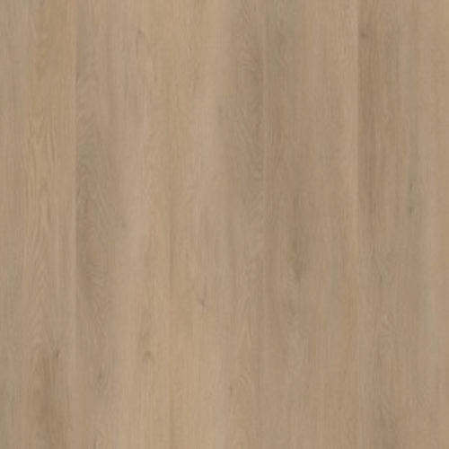 Ambiant Sentima Dryback Beige