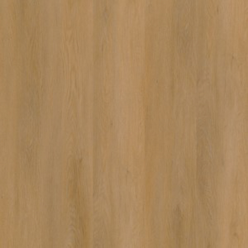 Ambiant Sentima Dryback Dark Oak