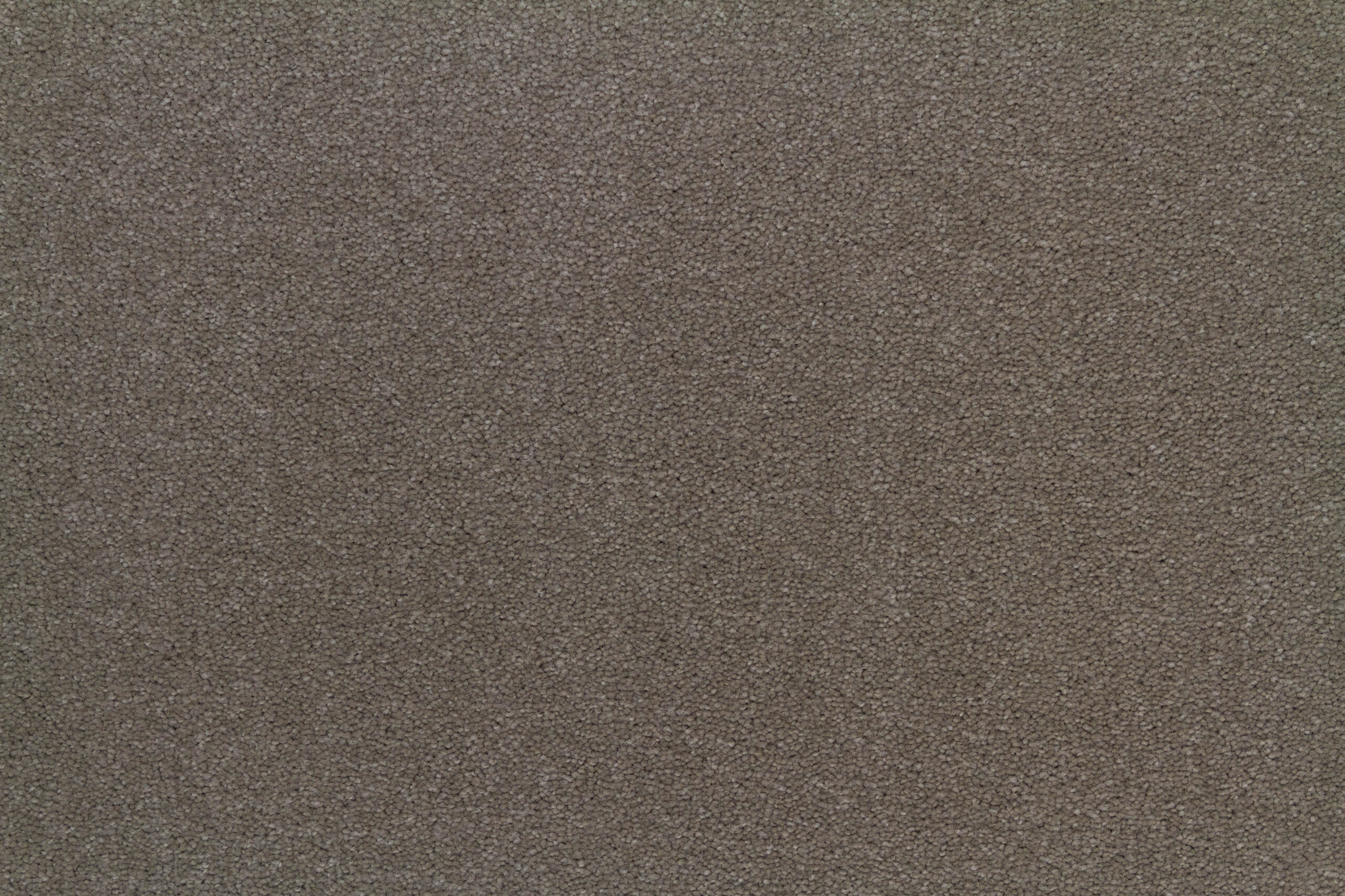 Afbeelding van Tapijt