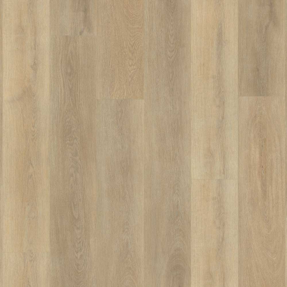 Belakos The Rigid 80